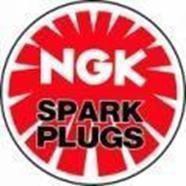 NGK Spark Plugs